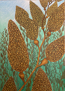Ocean Kelp Study Thumbnail
